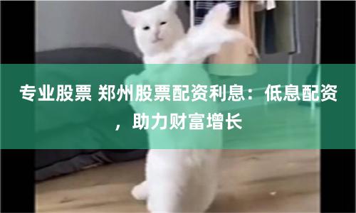 专业股票 郑州股票配资利息:低息配资,助力财富增长