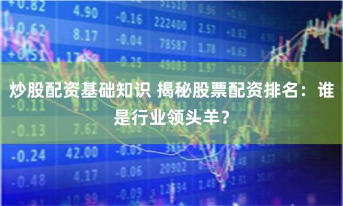 炒股配资基础知识 揭秘股票配资排名：谁是行业领头羊？