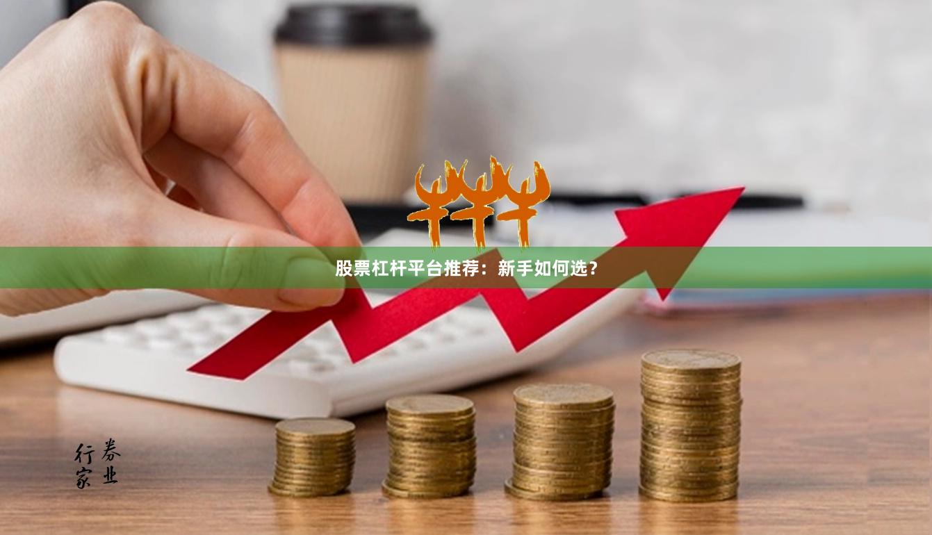 股票杠杆平台推荐：新手如何选？